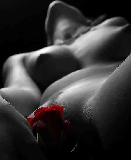 Shreya Model Dehradun Isbt Call Girls Escort